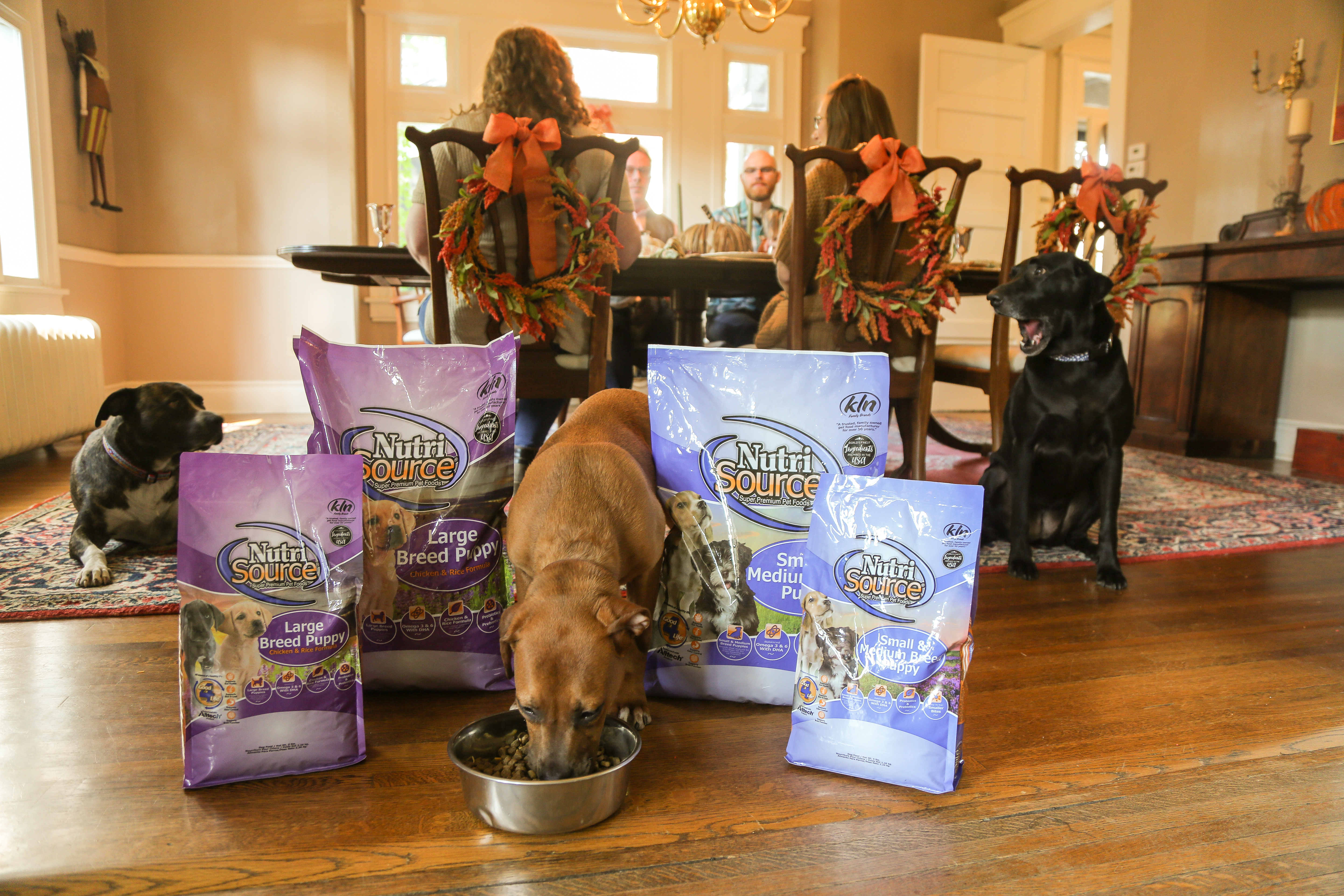 Nutrisource Puppy 5 – 15 lb bags – Buy 1, Get 1 Free